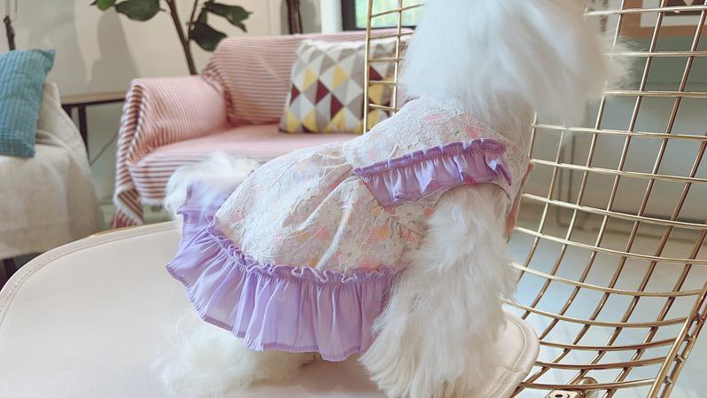 Product Introduction of Small Dog Dress Cat Chihuahua Doggy Puppy Skirt Yorkies Pomeranian Clothing Shih Tzu Maltese Bichon Poodle Schnauzer Pet Clothes 8