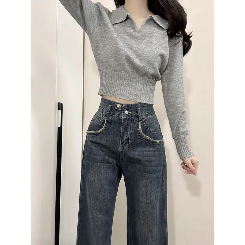 Áo Lớp Nền Dệt Kim, Cổ Polo Màu Xám, Dành Cho Nữ, Eo Bên Trong, Thiết Kế Đẹp, Độc Đáo Và Sang Trọng, Áo Đẹp