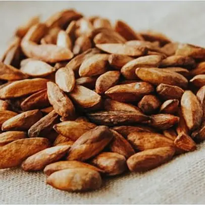 Hạt Bàng Rang Muối 200gr