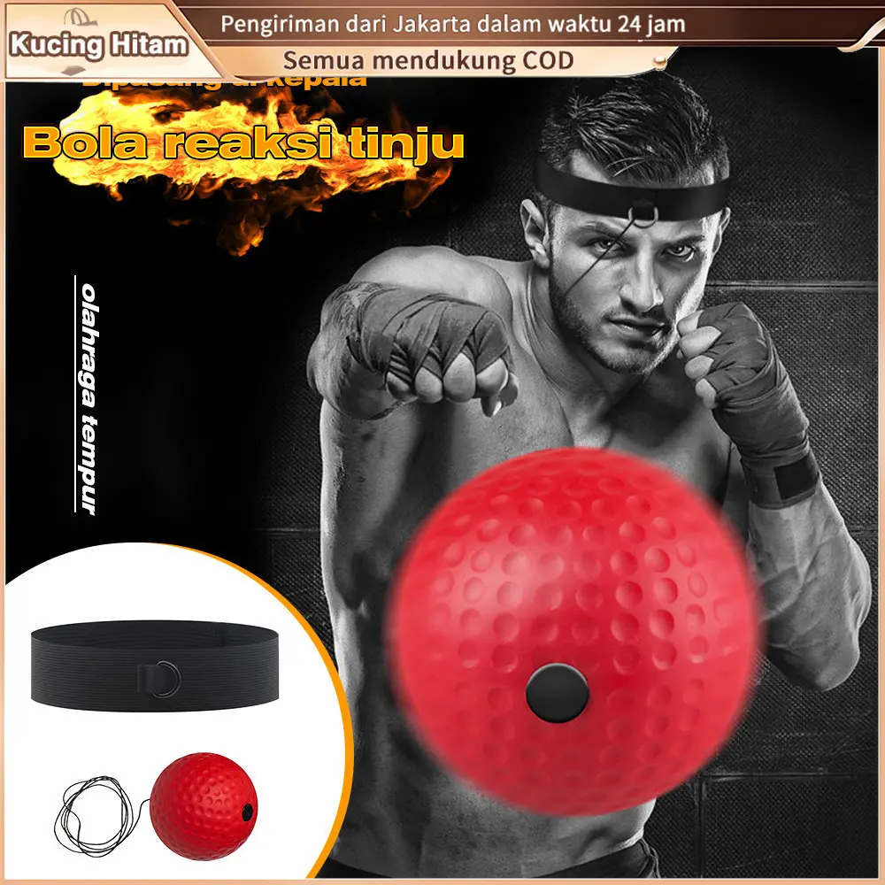 Head mounted boxing, reaction ball, elastic velocity, target ball, combat boxing training