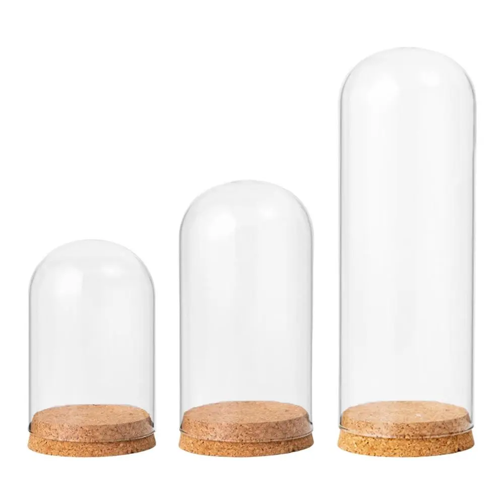 Cloche Bell Jar Display Dome Case Decorative Clear Glass Dome for Desktop