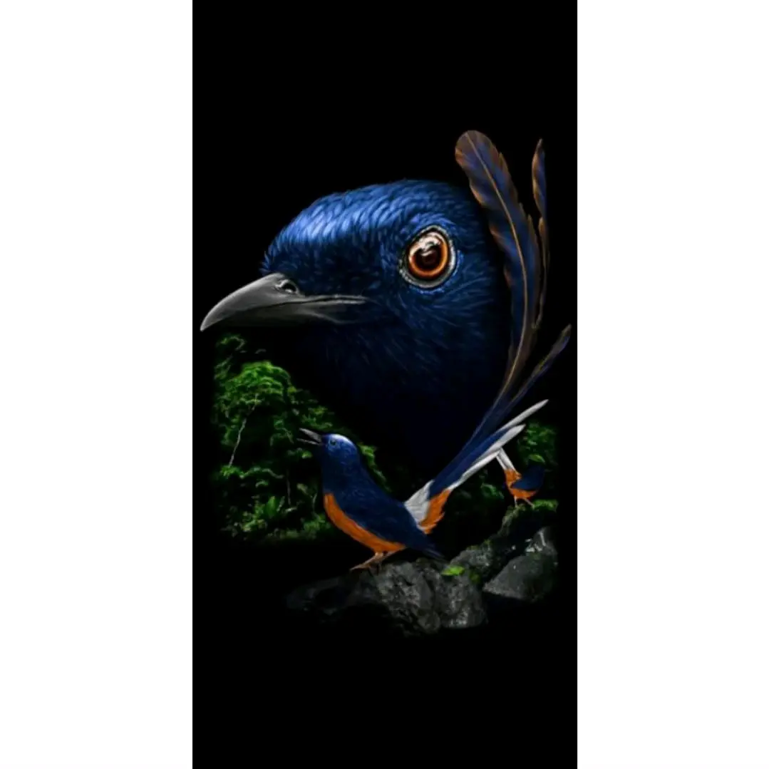 hiasan dinding walldecor burung