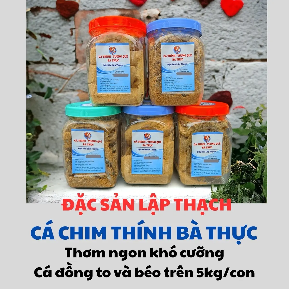 0.5kg Chim thính bà Thực - Công thức mới giảm mặn tối đa