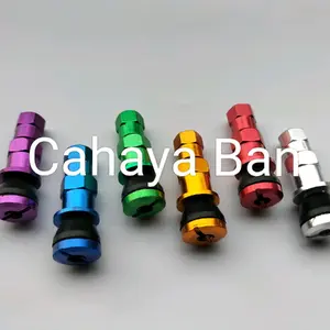 Pentil aluminium ban tubeless lurus variasi warna dop