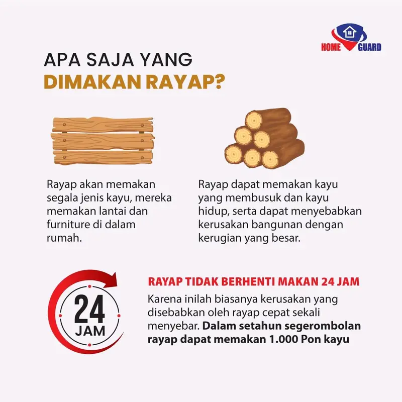 Home Guard Anti Rayap Cairan Pengusir Rayap Perlindungan Jangka Panjang - 100ml 2