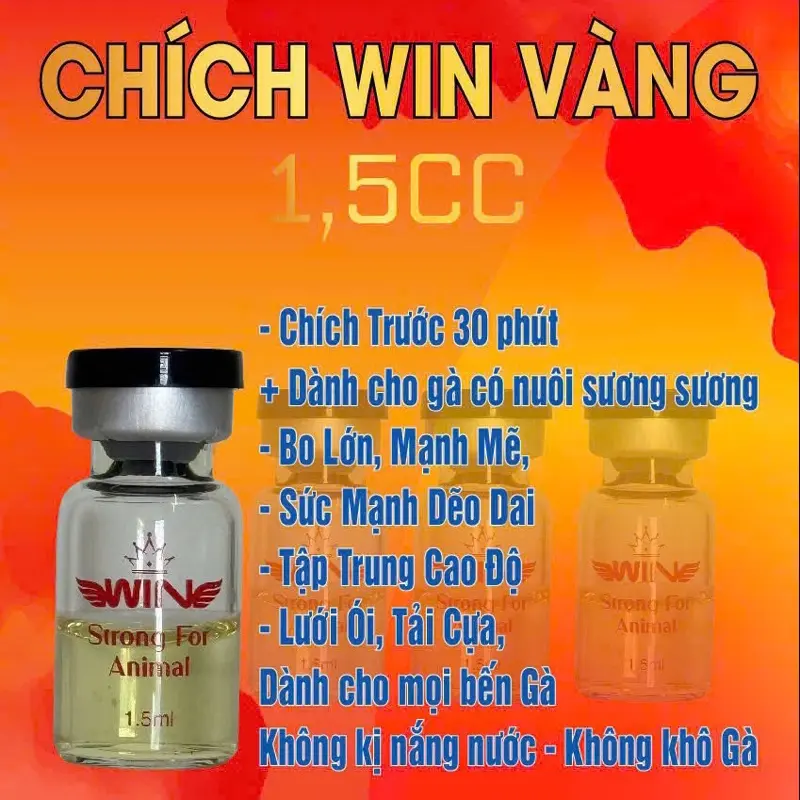 Nước win vàng chiến kê 1,5cc, 20 gà tre 10 gà nòi. tăng sức mạnh, tập trung