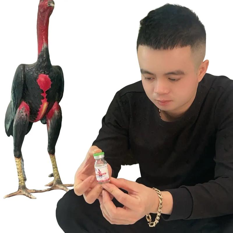 Sưng Gối Sưng Củ Bàn Trường Khánh sản phẩm dùng cho gà chọi