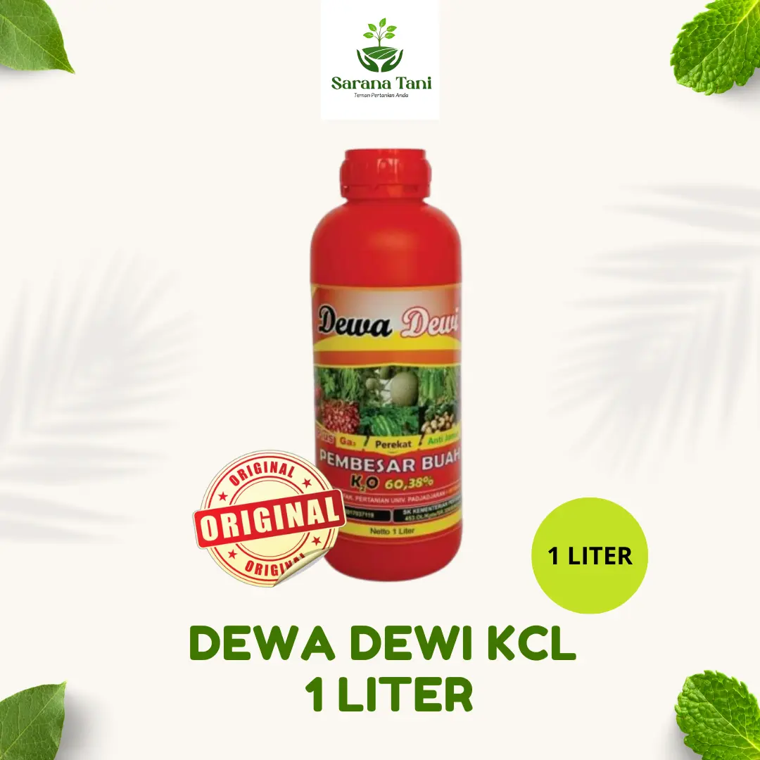 [1 LITER] Dewa-Dewi KCL Cair Perangsang dan Perekat Anti Jamur