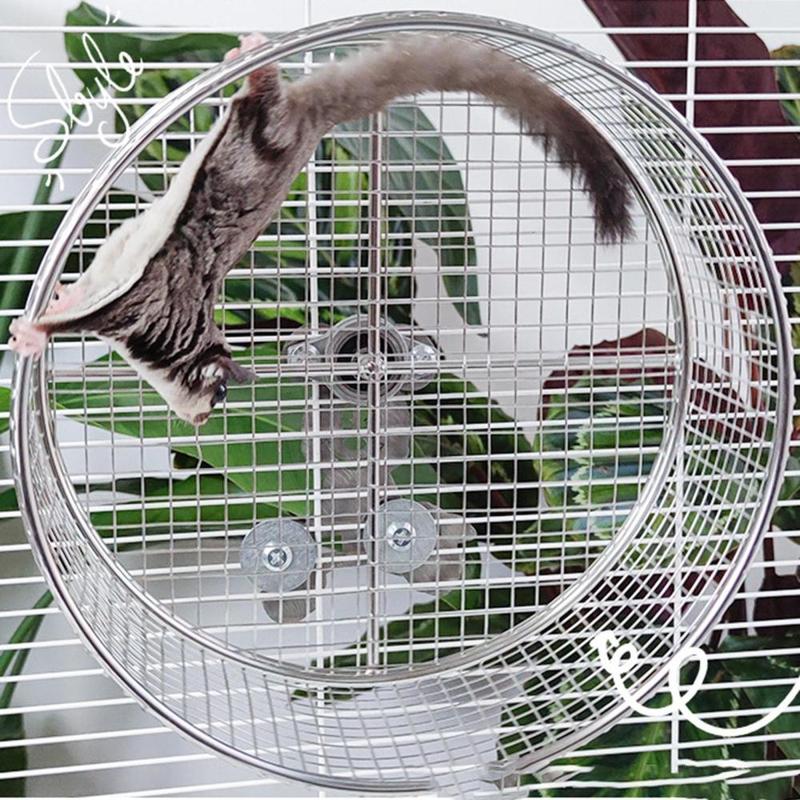Hamster Running Exercise Wheel for Gerbils Rats Mice Activity Anti Slip Mute 6
