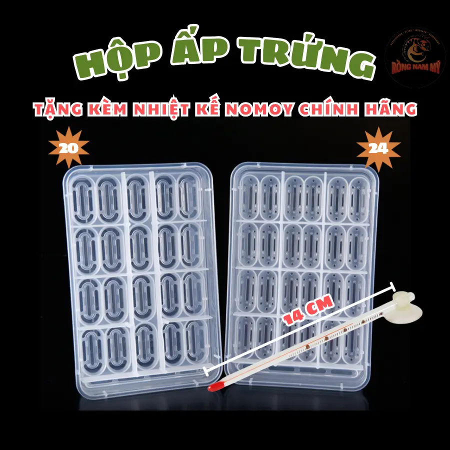HỘP ẤP TRỨNG THẰN LẰN RỒNG ÚC BÒ SÁT NHỎ ... giá rẻ, Ship cấp tốc.