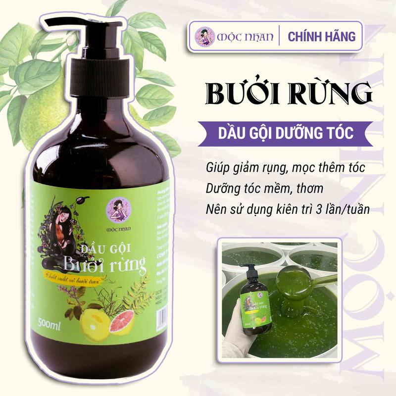 Dầu Gội Bưởi Rừng - Chăm Sóc Tóc Dưỡng Tóc Với Tinh Dầu Bưởi Thiên Nhiên