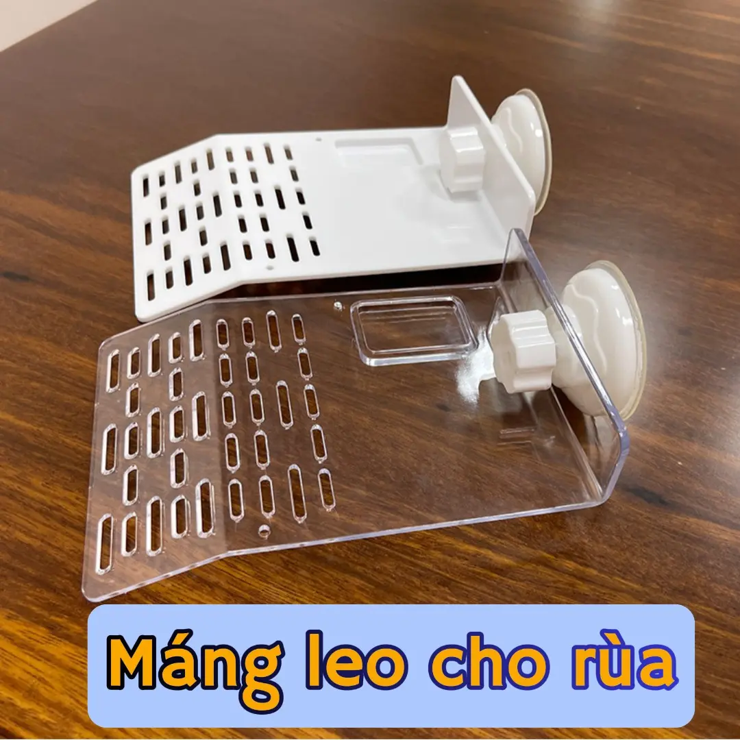 Bệ phơi nắng cho rùa - Máng đứng gắn thành bể cho rùa phơi nắng - Tấm nhựa - Máng leo