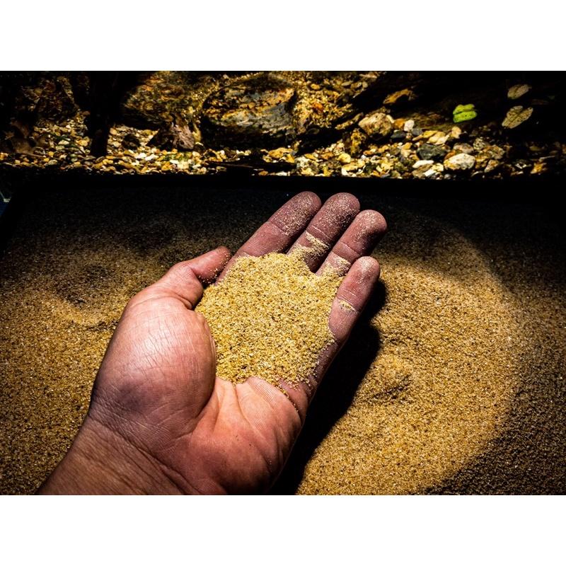  Cát Nắng Vàng Siêu Mịn | 200Gr-500Gr-1KG | Trải Nền Trang Trí Bể Cá Thủy Sinh Biotope. 