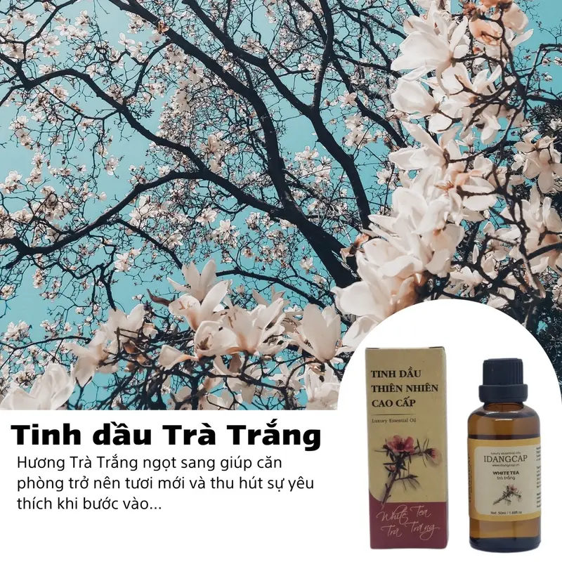 Siêu Ưu đãi Combo 5 lọ 10ml Tinh dầu thiên nhiên chính hãng 4