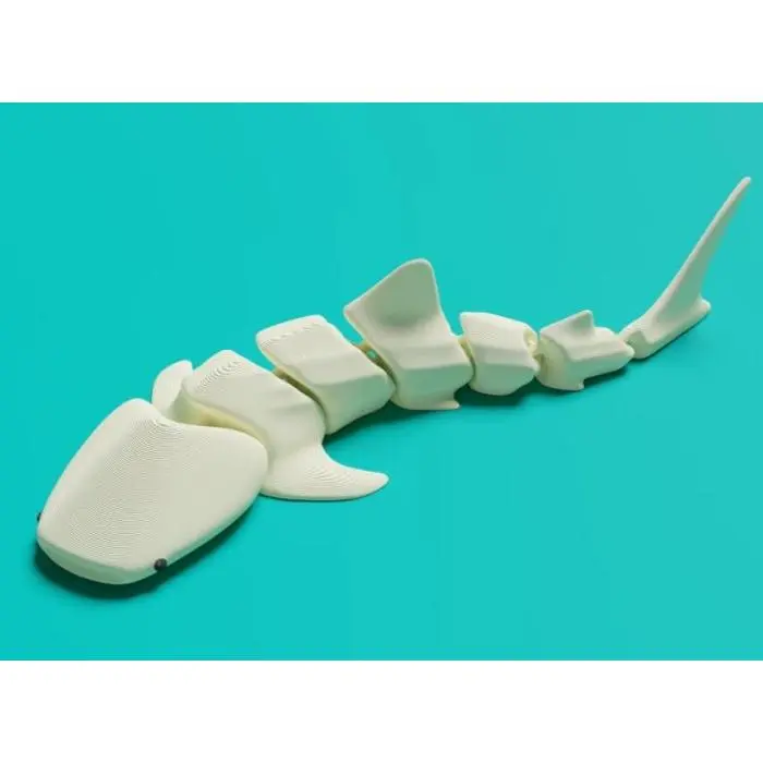 Articulated Whale Shark | 3D Mica art