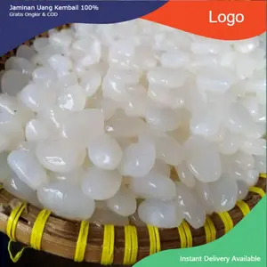 Kolang kaling segar 1kg bersih 100% kenyal bahan manisan fresh cangkaleng