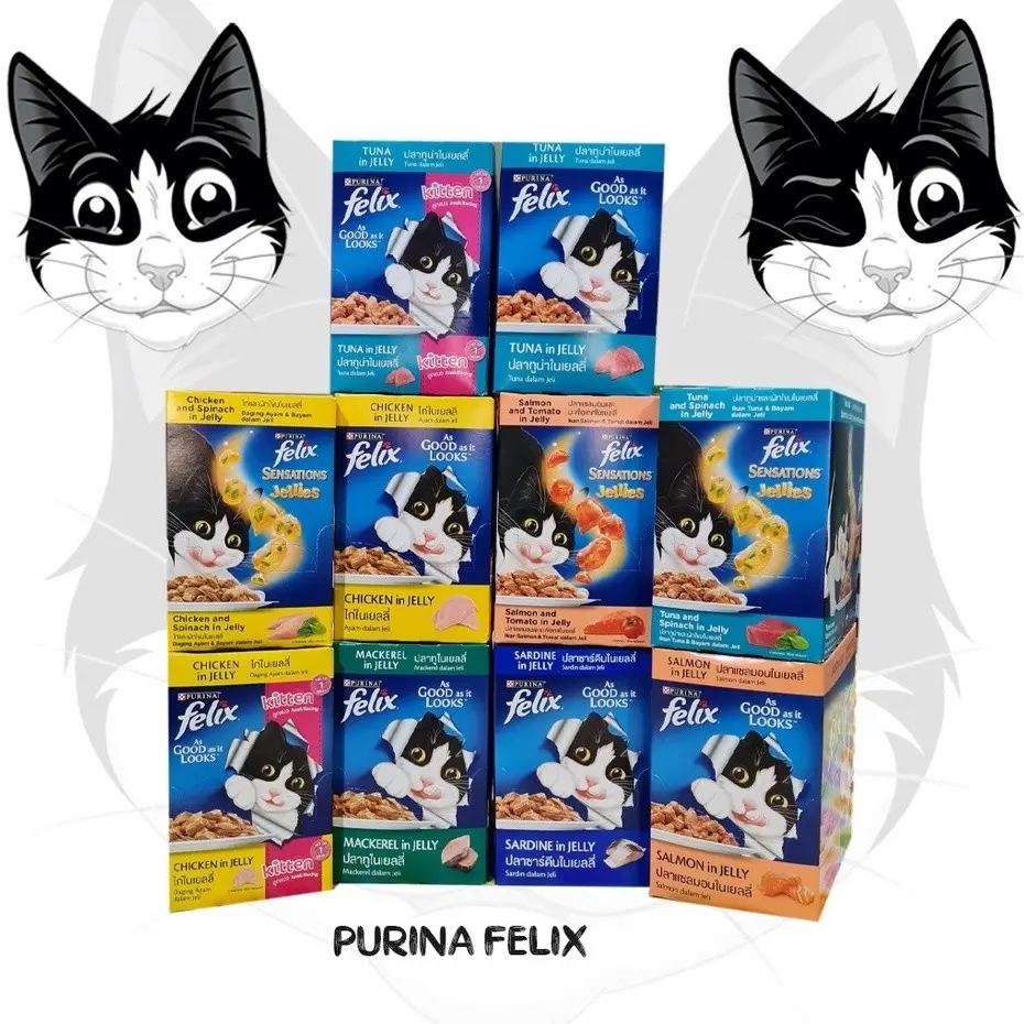 1 gói Pate FELIX Cat Wet Food pate Thức Ăn Ướt Dạng Jelly Nhiều Hương Vị Cho Mèo ( gói 85g)