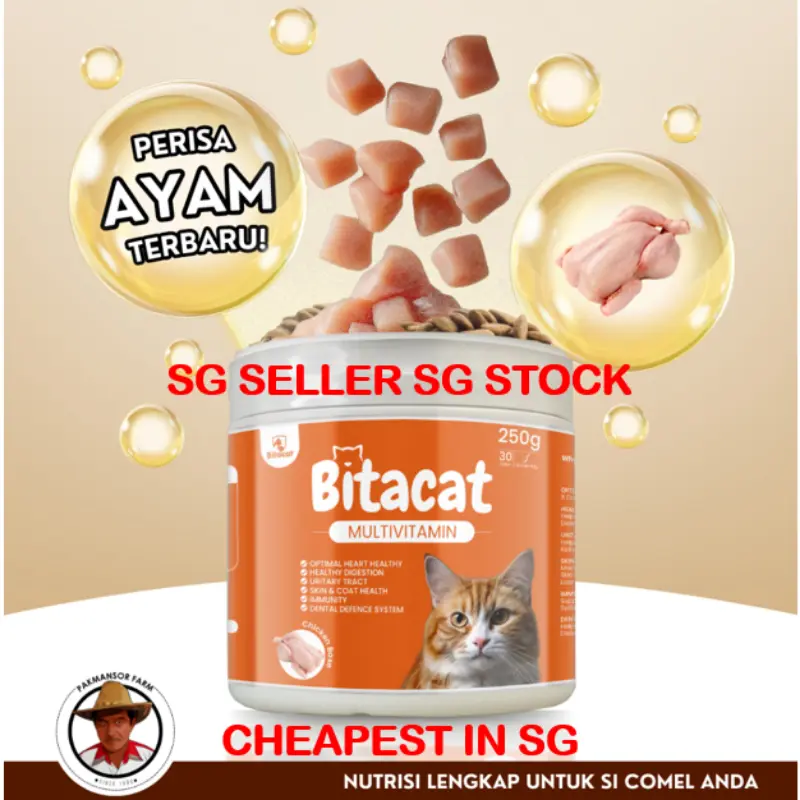 Casual Bitacat Chicken Multivitamin Kibbles    Stock  Cheapest Authentic And Original