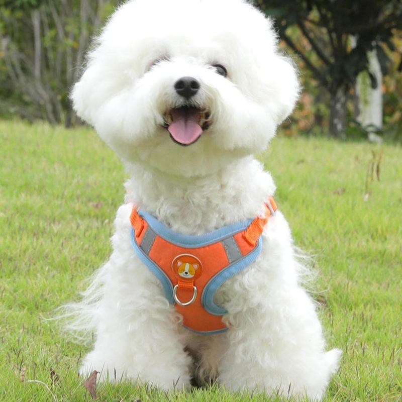 Product Introduction of Pet Dog Harness With Leash Reflective Vest Leash For Dog Cat Puppy Vest Harness 27