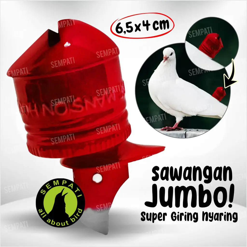 Sempati Sawangan Jumbo Mansion Sawangan Merpati Hatong Hotang Pluit Peluit Sempritan Latih Burung Merpati Balap Dara Pos Bunyi Nyaring Gacor