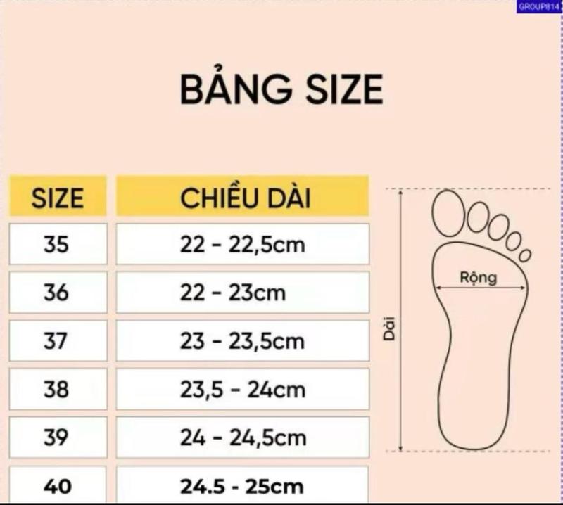 Product Introduction of Giày cao gót mũi nhọn gắn ngọc Nữ Shoes 0