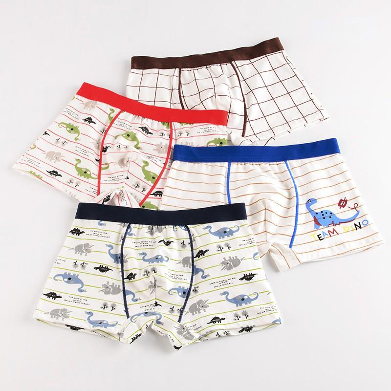 Quần lót bé trai cao cấp HIKITOKIDS Combo 5 quần CB05 3