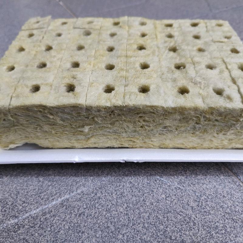 Giá thể rockwool ươm cây 5 vỉ/ 200 viên (25*25*50) 1