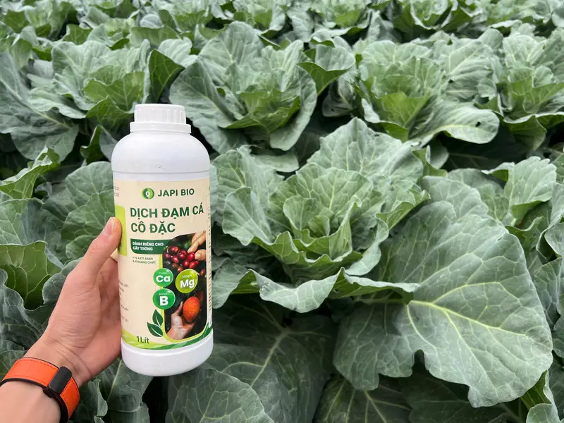 Phân bón hữu cơ Japi Bio (chai 1L) - Dịch đạm cá Amino, giúp cây xanh lá, bén rễ, đất tơi xốp 8