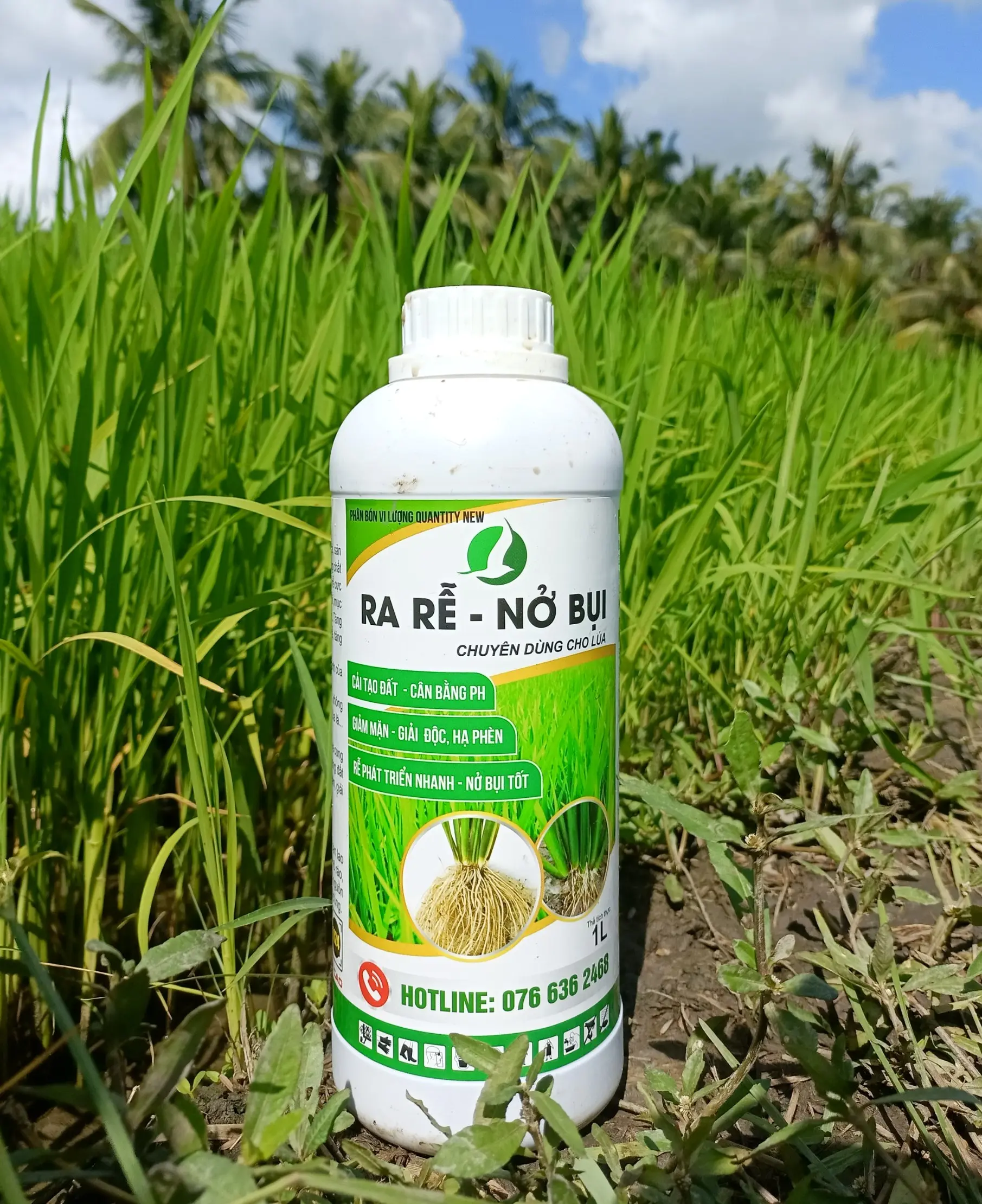 PHÂN BÓN GIÚP LÁ LÚA XANH MƯỚT, CHỐNG VÀNG LÁ, RA RỄ, ĐẺ NHÁNH CỰC MẠNH - RA RỄ NỞ BỤI CHAI 1 LÍT