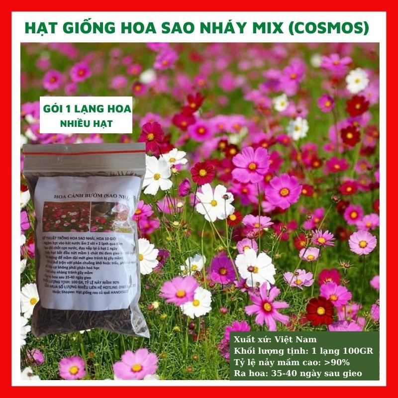 Hạt Giống Hoa Sao Nhái - Cánh Bướm Mix Màu GÓI 1 LẠNG (100g) (3 Màu Hồng, Trắng, đỏ)