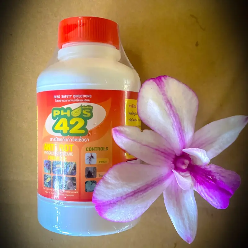 PHOS 42 Thái Lan (PHs 42) - Thuốc Trị Nấm và Thối Rễ, Chai 100ml 1