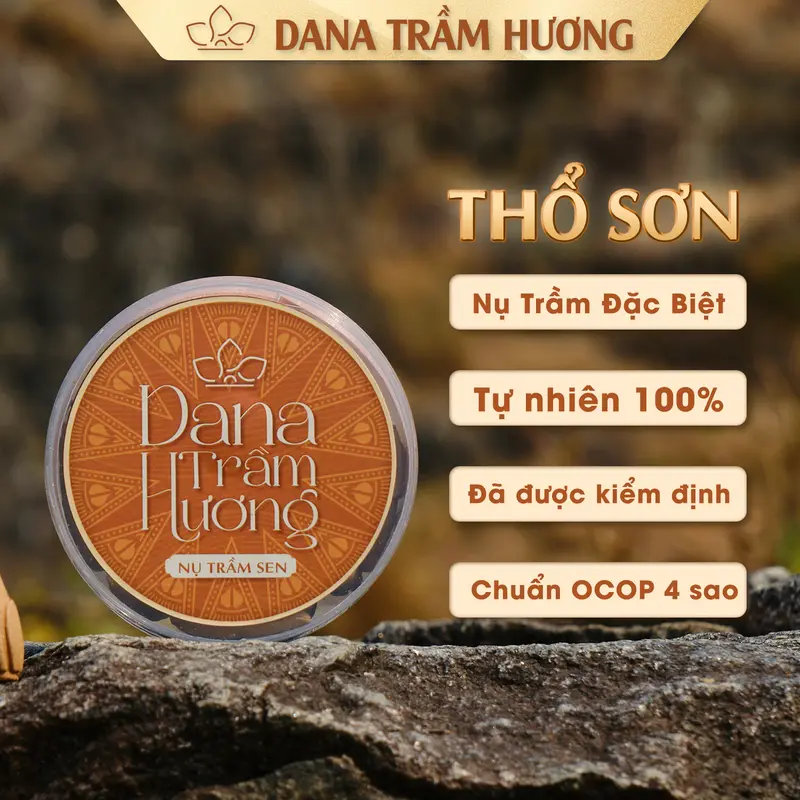 Combo Nụ Trầm Hương Đặc Biệt Tự Nhiên - DANA Thủy Nguyệt - Hỏa Nhật -Thổ Sơn (Nụ Sen), Trầm Sạch, Hương Thơm Ngọt Dịu, Phong Thủy 1