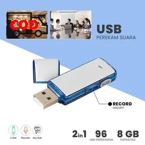 Perekam Suara Terkecil Mini USB Flashdisk Praktis dan Portabel untuk Berbagai Kebutuhan