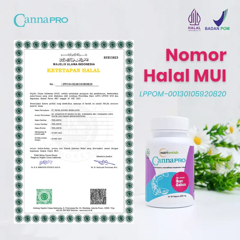 Bundling Cannapro 10 Kapsul - Suplemen Kesehatan, Membantu Luka Pasca Operasi, - HALAL & BPOM MUI 3