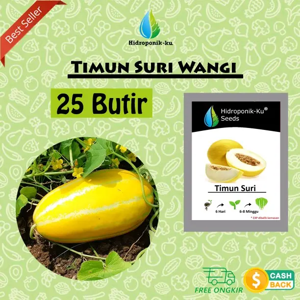 Bibit / Benih Timun Suri Wangi (25 Butir) Hidroponik Ku