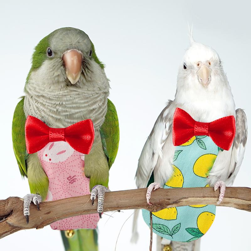 Product Introduction of Parrot Diaper Flight Suit Diaper Clothes Parrot Parakeet Pigeon Medium Large Pet Bird 47