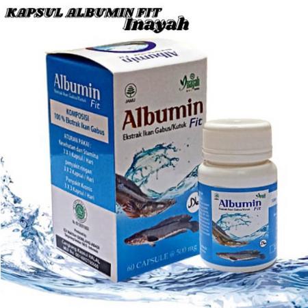 Kapsul Albumin / Ekstrak Ikan Gabus/ kutuk/ isi 60 kapsul 0