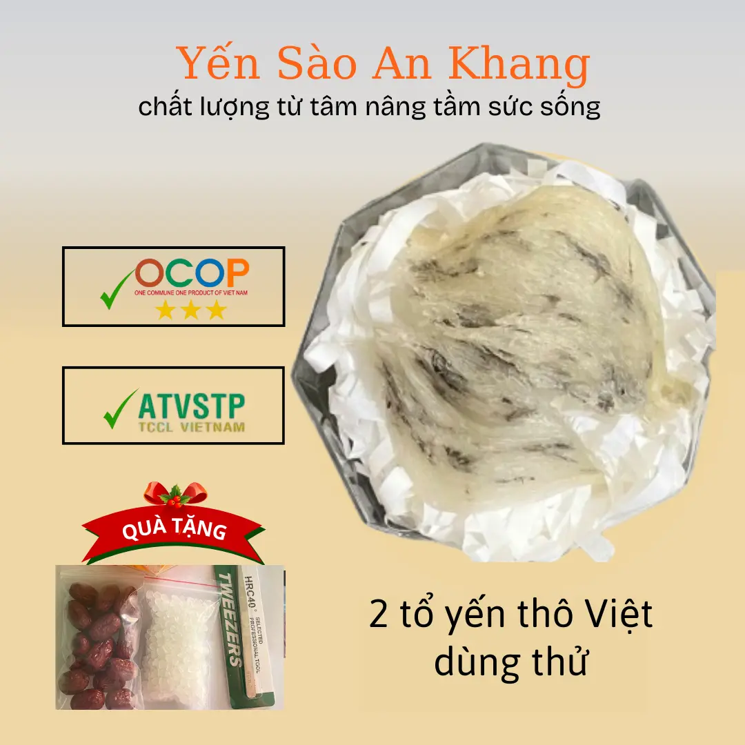 Yến thô già gân lông vừa nhíp táo đường phèn - 2 tổ Yến dùng thử 15g - Food, Chè
