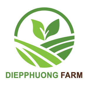 DIEP PHUONG FARM 1