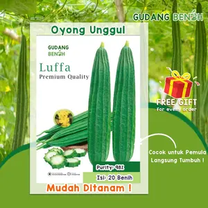 Bibit Tanaman Sayuran Oyong Berkualitas Unggul Isi 20 Benih