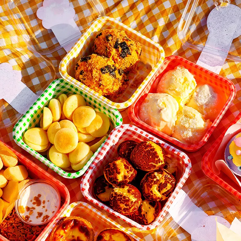 Food Grade Disposable Sushi Burger Takeaway Box - Durable Plastic Picnic Container