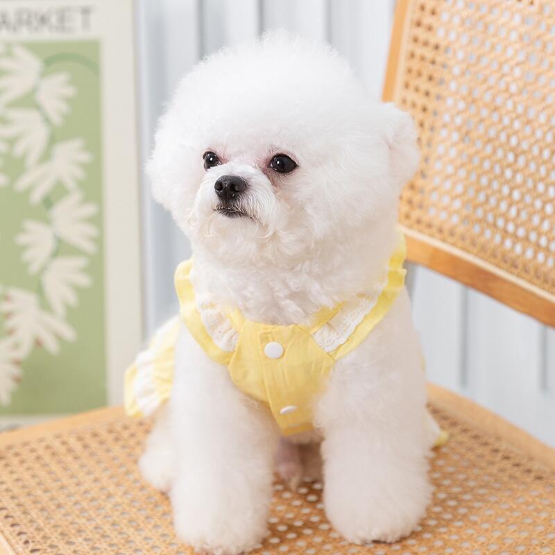 Summer Cute Bow Lace Strap Slim Dress Teddy Pet Dog Cat Clothes 2