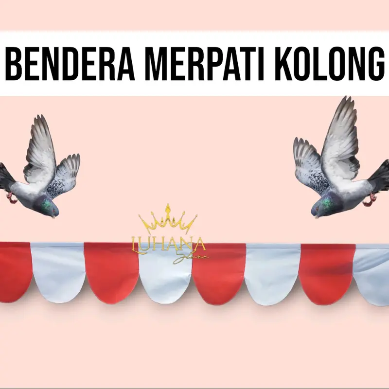 Bendera Merpati Kolongan Bendera Merpati Kolong Bendera Latih Merpati Meteran sang karko sanjati 0