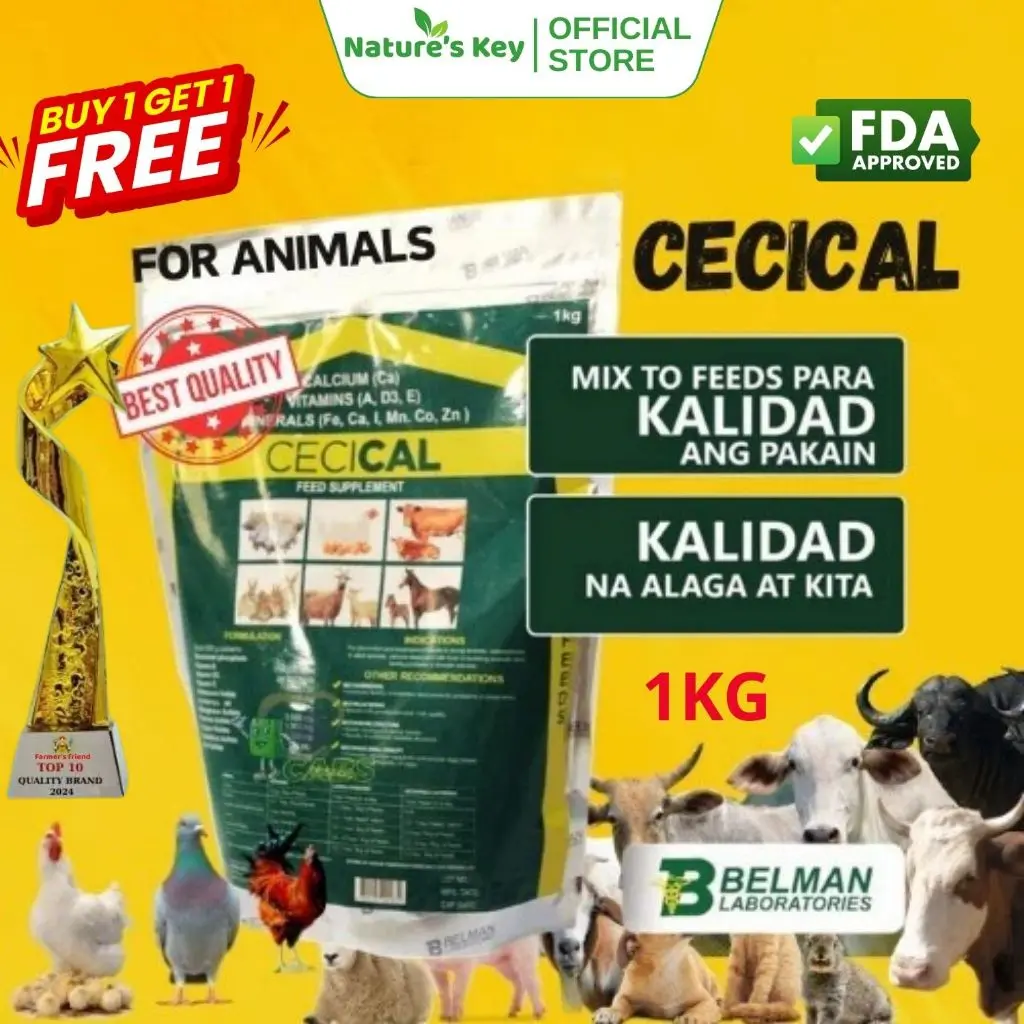 Cecical powder buy 1 kg take 1 kg free Cecical powder 1 kg Cecical for ...