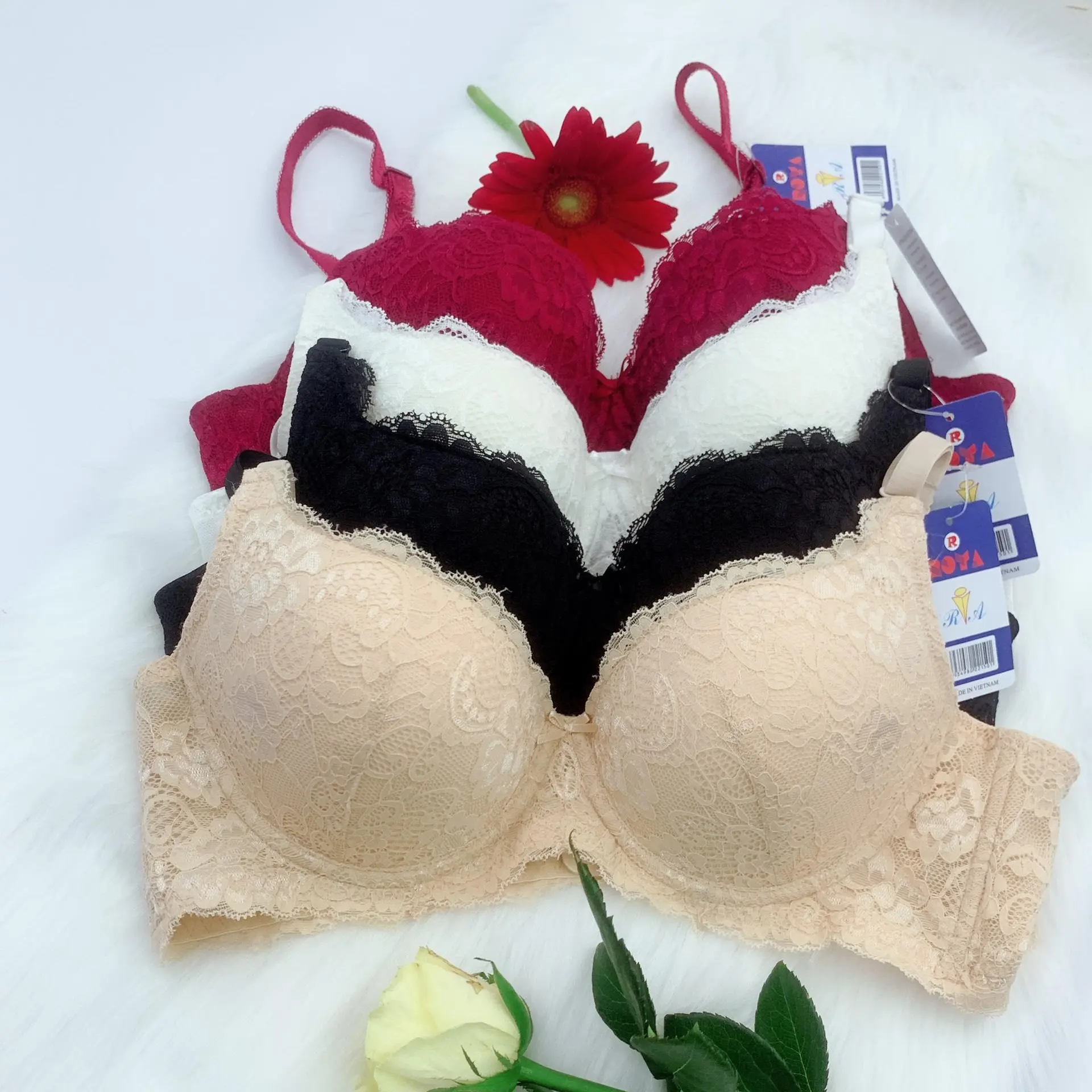 [M005] Áo lót nữ đệm mỏng 0,5cm phối ren 3 móc cài cao cấp Roya (mua 3 áo tặng 1 quần)