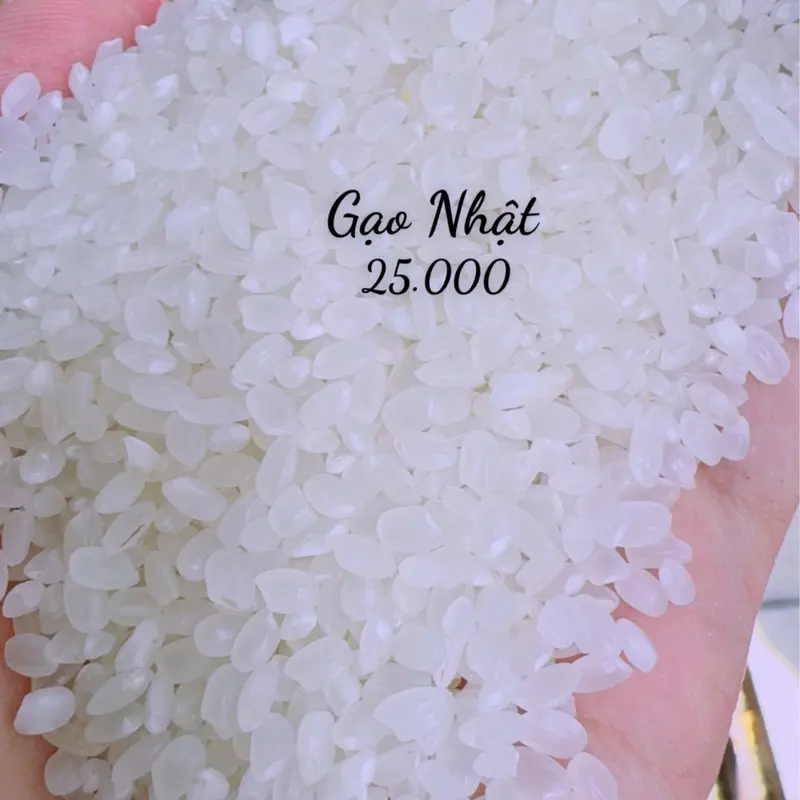 10Kg Gạo Nhật Làm Sushi Dẻo Mềm Ngọt Cơm ( 10KG) 4