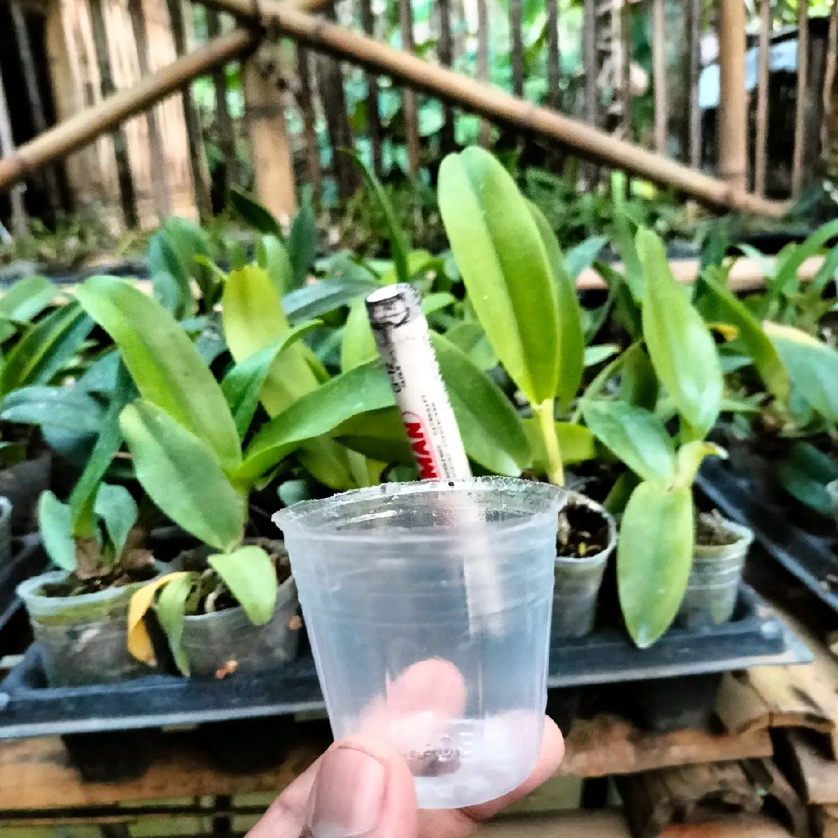 4 pot plastik uk. pra rmj (ctya)