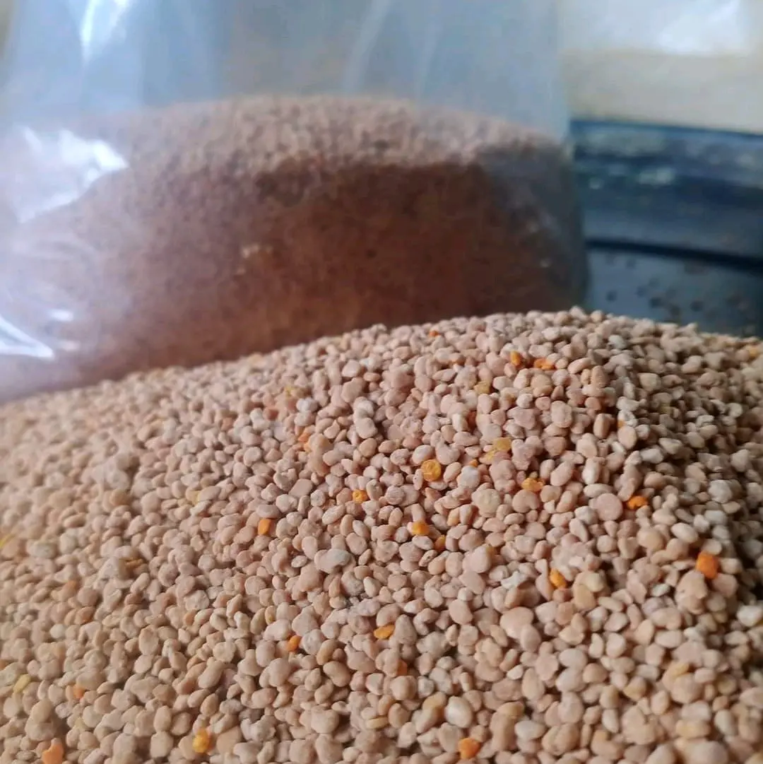 phấn hoa cà phê vừa khai thác & phơi khô để bán cho các bạn.