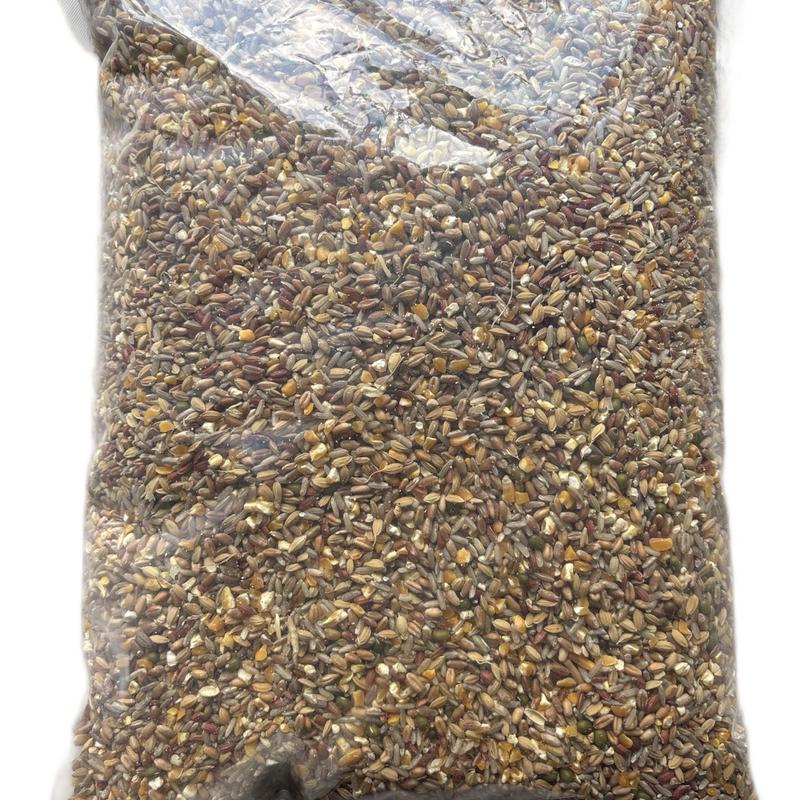 Túi 5kg Ngũ Cốc Truyền Thống dùng cho gà ăn hằng ngày, lên tay, nuôi gà tơ, gà chế độ, dùng cho gà từ 2 tháng trở lên, tiết kiệm chi phí