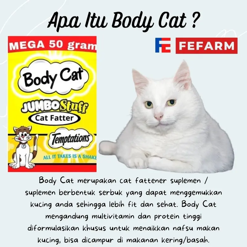 Suplemen Penggemuk Kucing Body Fat 50gr FEFARM 1